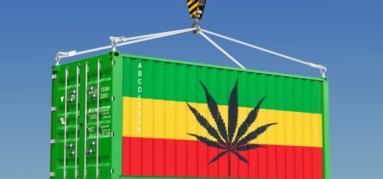 Moving Cannabis: The Canadian Prespective