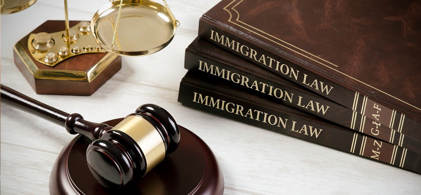 essay on immigration laws