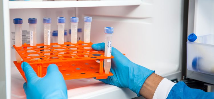 Lab technician wearing blue gloves places a capped test tube into an orange rack inside a refrigerated cabinet.